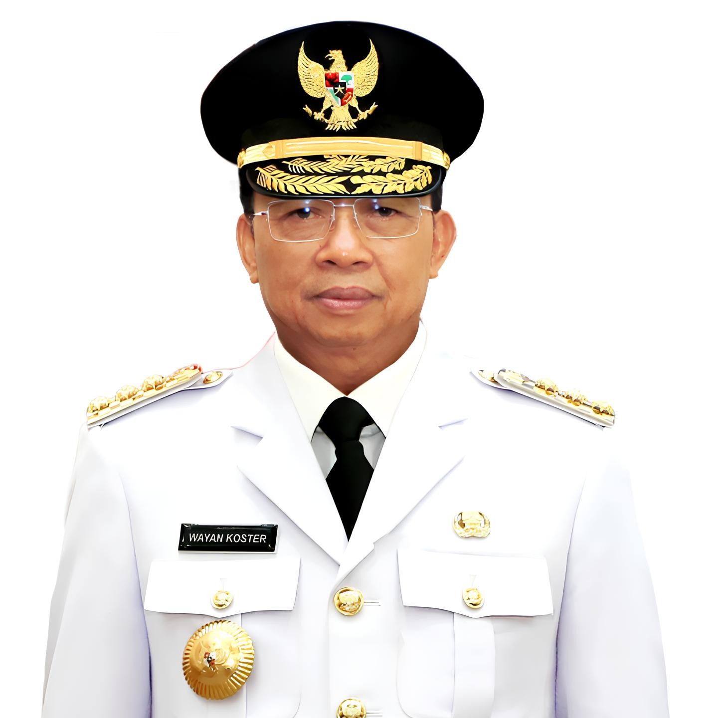 DR. IR. I WAYAN KOSTER, M.M